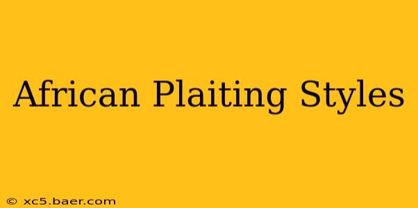 African Plaiting Styles