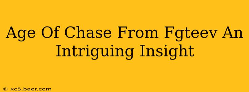 Age Of Chase From Fgteev An Intriguing Insight
