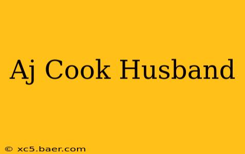Aj Cook Husband