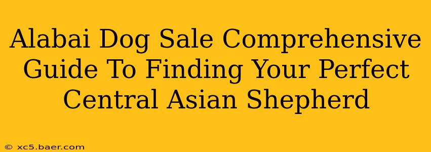 Alabai Dog Sale Comprehensive Guide To Finding Your Perfect Central Asian Shepherd
