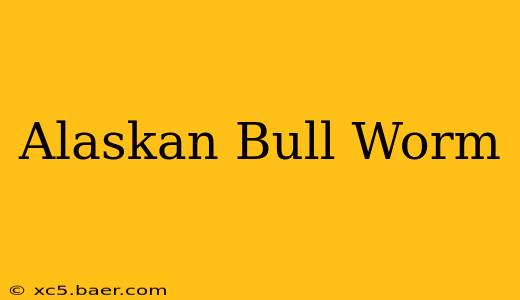 Alaskan Bull Worm