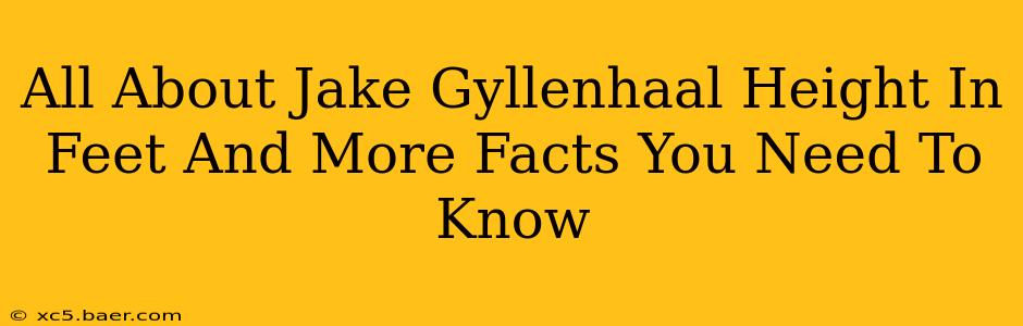 All About Jake Gyllenhaal Height In Feet And More Facts You Need To Know