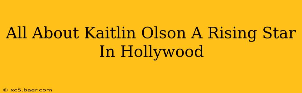 All About Kaitlin Olson A Rising Star In Hollywood