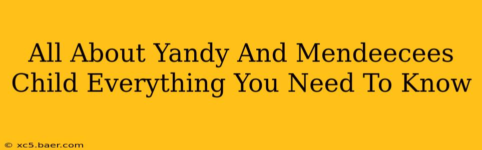 All About Yandy And Mendeecees Child Everything You Need To Know