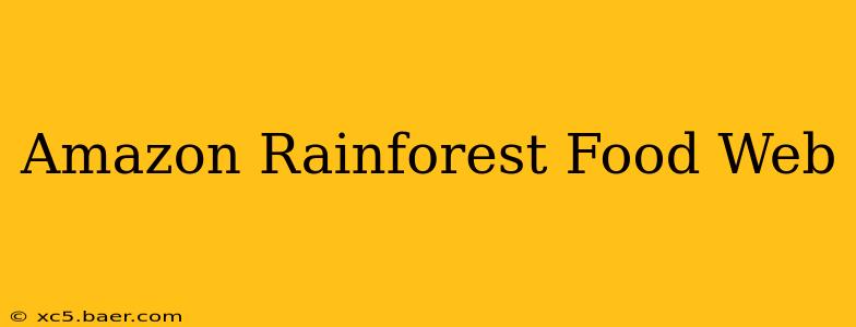 Amazon Rainforest Food Web
