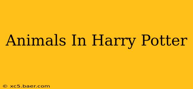 Animals In Harry Potter