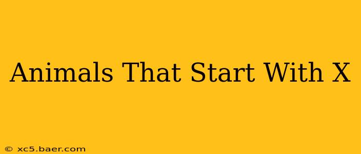Animals That Start With X