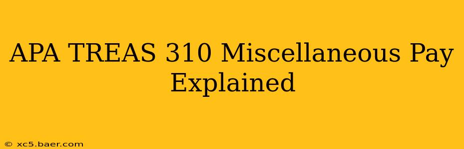 APA TREAS 310 Miscellaneous Pay Explained