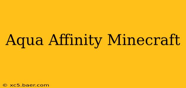 Aqua Affinity Minecraft