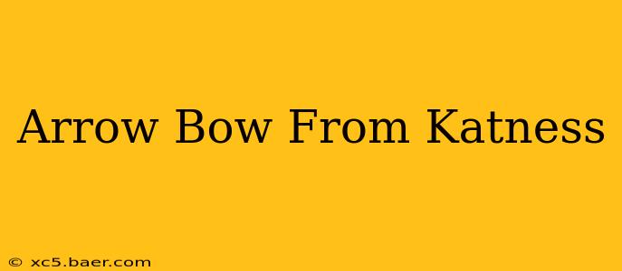 Arrow Bow From Katness