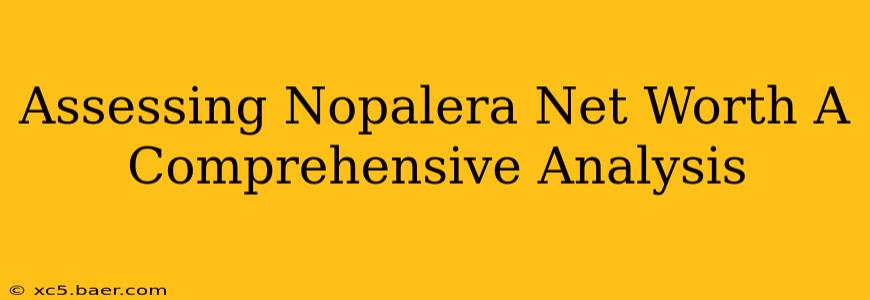 Assessing Nopalera Net Worth A Comprehensive Analysis
