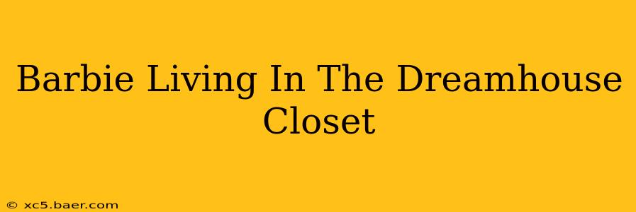 Barbie Living In The Dreamhouse Closet