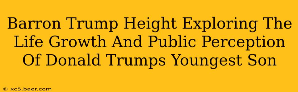 Barron Trump Height Exploring The Life Growth And Public Perception Of Donald Trumps Youngest Son