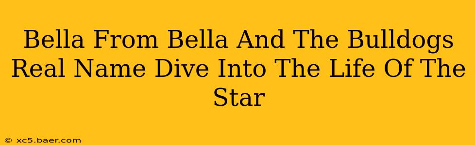 Bella From Bella And The Bulldogs Real Name Dive Into The Life Of The Star