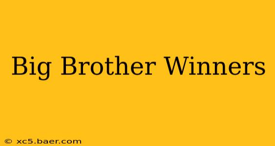 Big Brother Winners