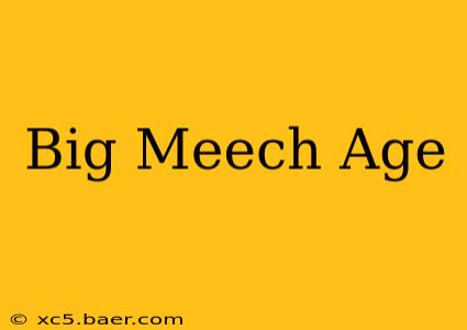 Big Meech Age