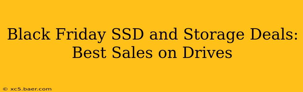 Black Friday SSD and Storage Deals: Best Sales on Drives