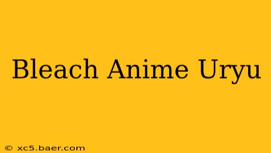 Bleach Anime Uryu