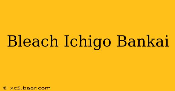 Bleach Ichigo Bankai