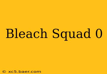 Bleach Squad 0