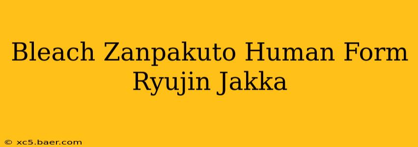 Bleach Zanpakuto Human Form Ryujin Jakka