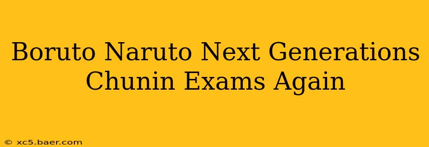 Boruto Naruto Next Generations Chunin Exams Again