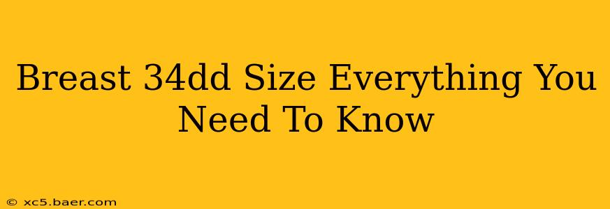 Breast 34dd Size Everything You Need To Know