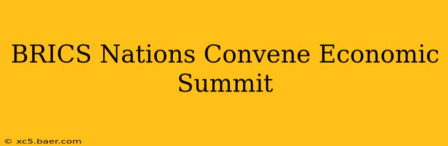 BRICS Nations Convene Economic Summit