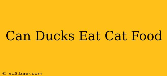 Can Ducks Eat Cat Food