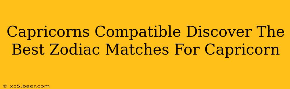 Capricorns Compatible Discover The Best Zodiac Matches For Capricorn