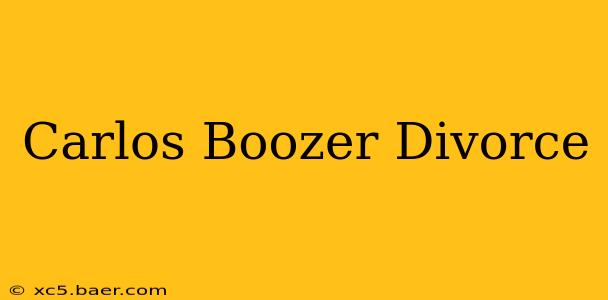 Carlos Boozer Divorce