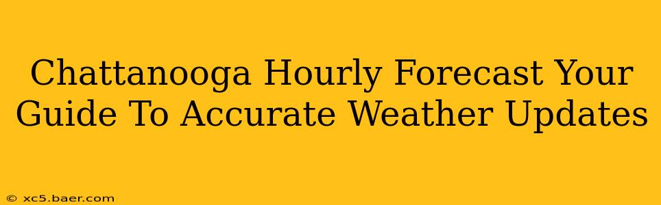 Chattanooga Hourly Forecast Your Guide To Accurate Weather Updates