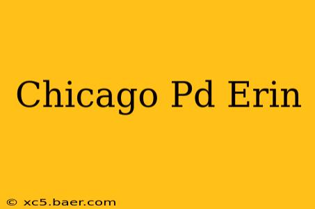 Chicago Pd Erin