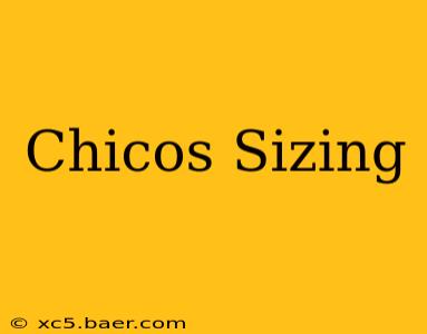 Chicos Sizing