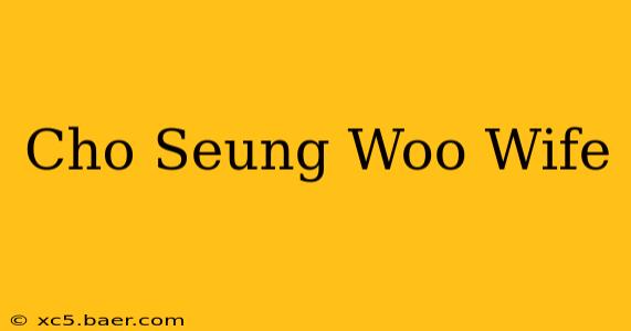 Cho Seung Woo Wife