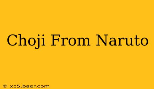Choji From Naruto