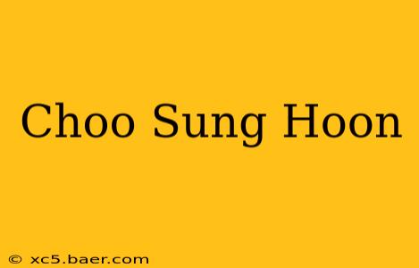 Choo Sung Hoon