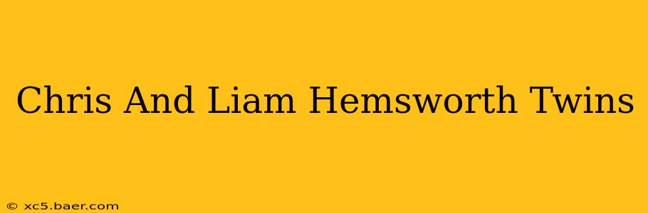 Chris And Liam Hemsworth Twins