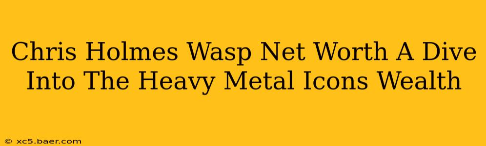 Chris Holmes Wasp Net Worth A Dive Into The Heavy Metal Icons Wealth