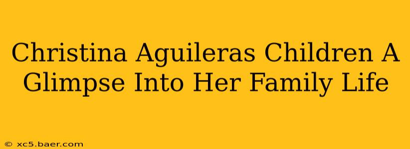 Christina Aguileras Children A Glimpse Into Her Family Life