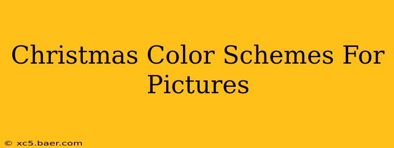 Christmas Color Schemes For Pictures