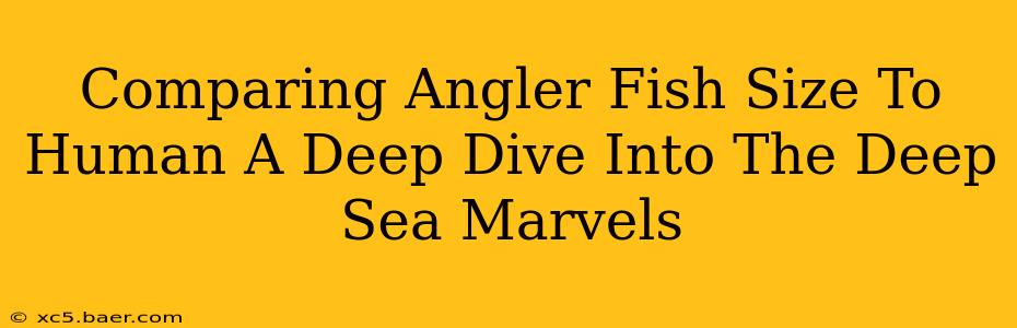 Comparing Angler Fish Size To Human A Deep Dive Into The Deep Sea Marvels