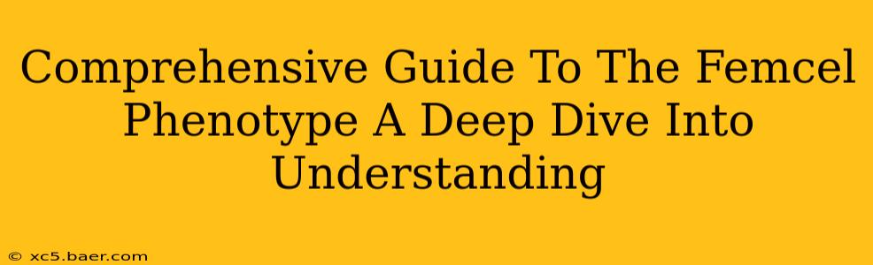 Comprehensive Guide To The Femcel Phenotype A Deep Dive Into Understanding
