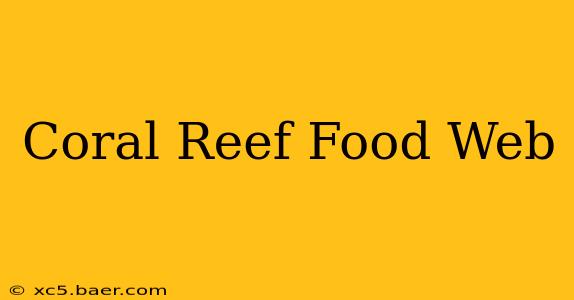 Coral Reef Food Web