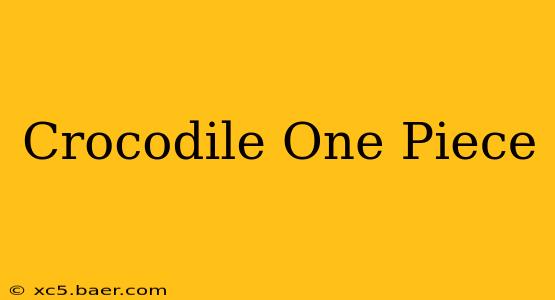 Crocodile One Piece