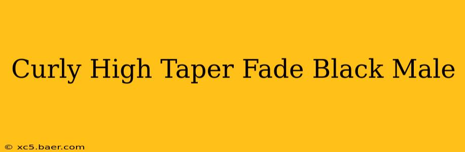 Curly High Taper Fade Black Male