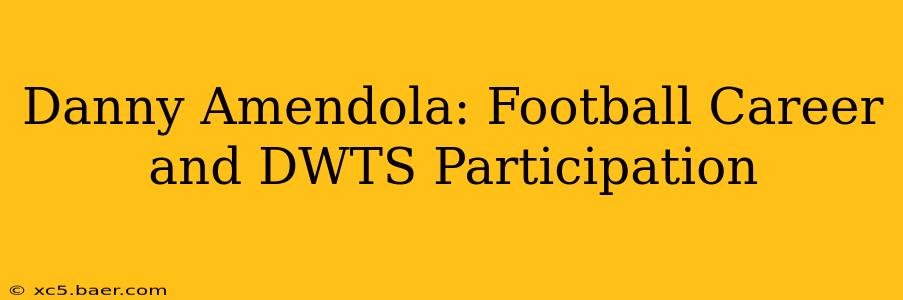 Danny Amendola: Football Career and DWTS Participation