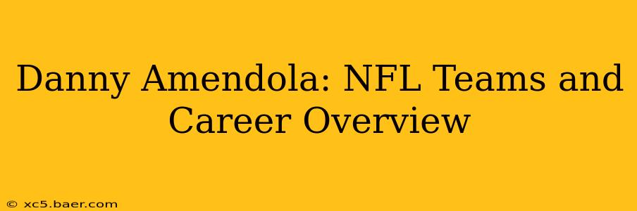 Danny Amendola: NFL Teams and Career Overview