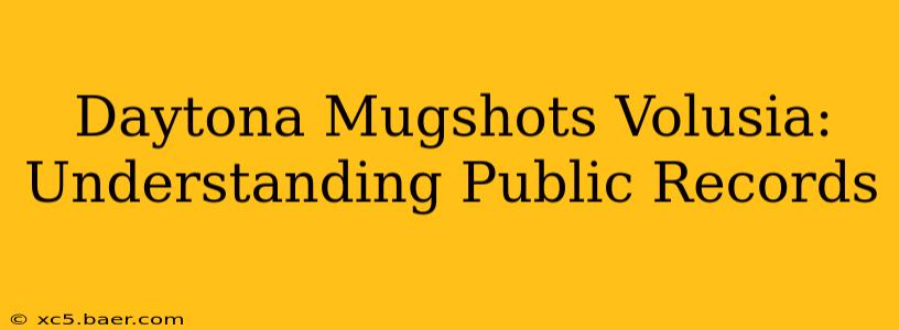 Daytona Mugshots Volusia: Understanding Public Records