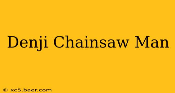 Denji Chainsaw Man